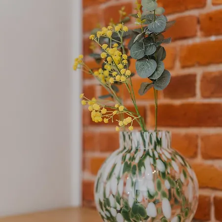 Historic Red Brick Loft Near Center Apartament *